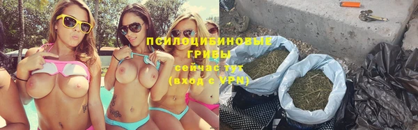 гашик Абинск